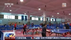 必一·体育(B-Sports) 乒乓球台子有几种